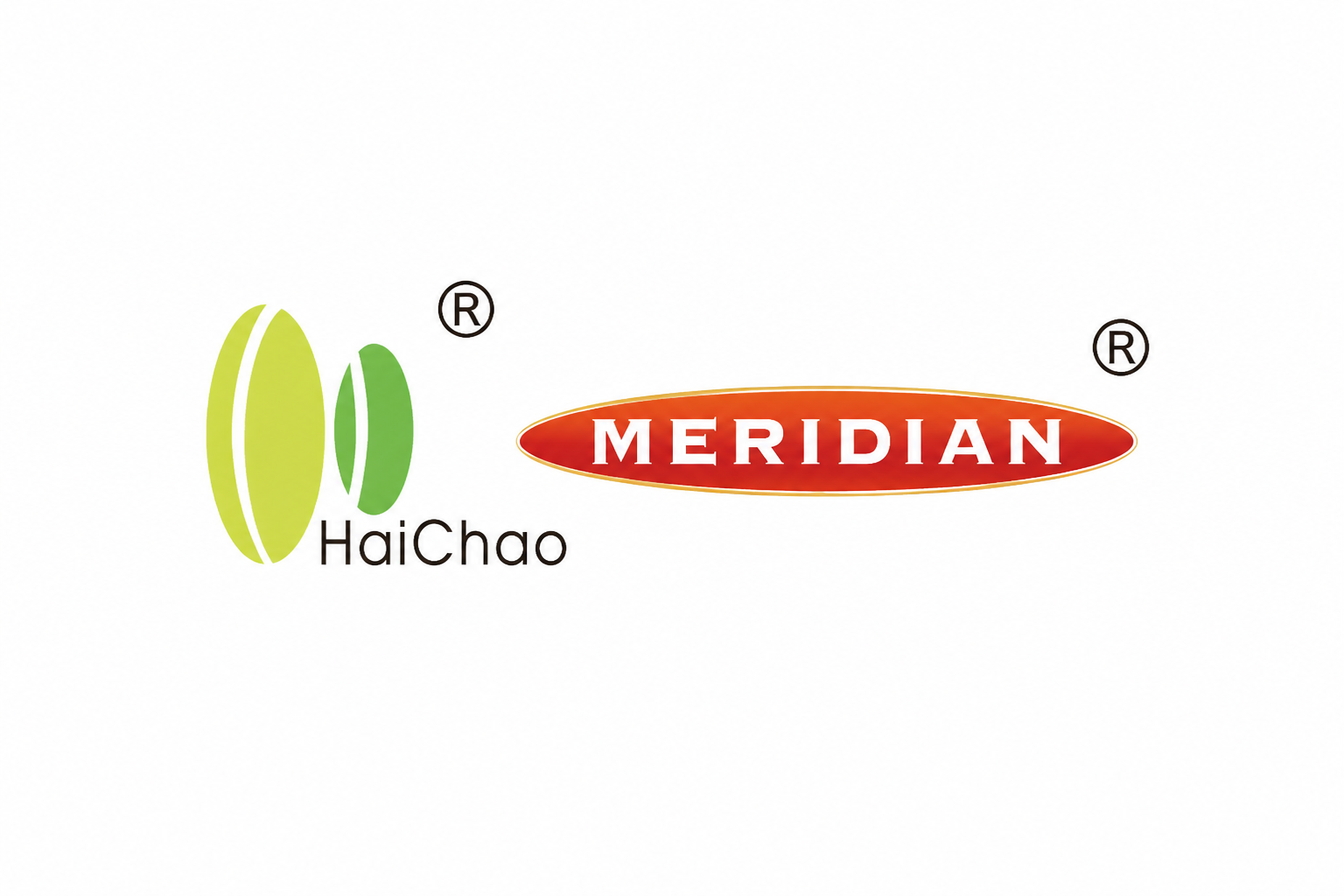 Meridian logotyp