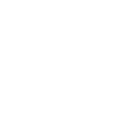 Paracelsus logotyp