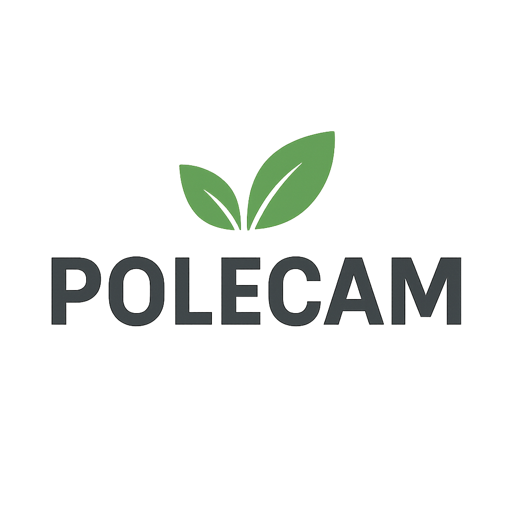 Polecam logotyp